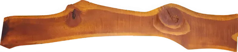 fond-bois